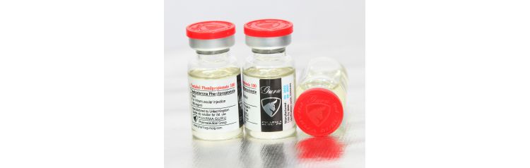 Pharma Guru Testabol Phenilpropionate 100 мг 10 мл